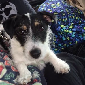 Meet your Posher, Brianna